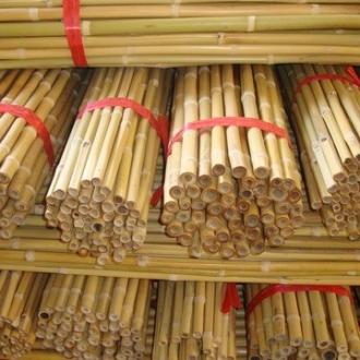 Bambu Destek Çubukları