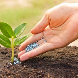 Fertilizers - Seeds