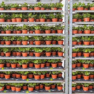 Dekoratif Plastik Dış Mekan Saksılar