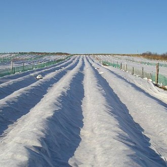 Agryl / Mulch