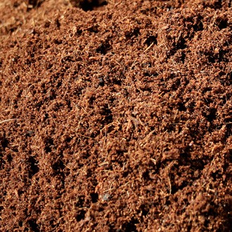 Coco Peat