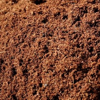 Coco Peat