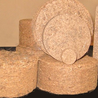 Coco Disk