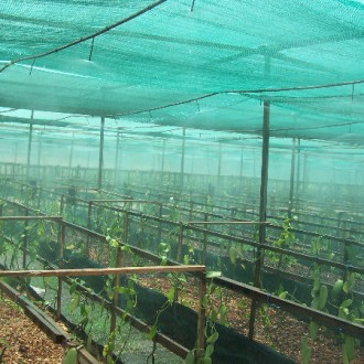 Shade Net