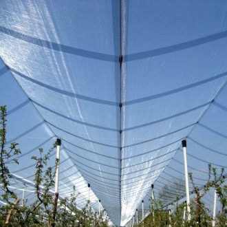 Monofilament Anti Hail Net