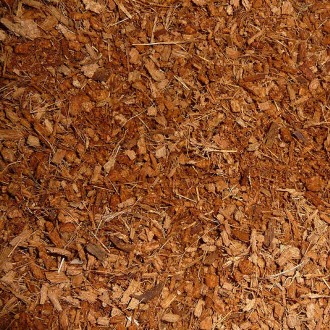 Coconut Husk Chips