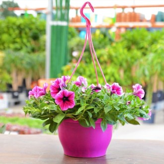 Macrome Pot