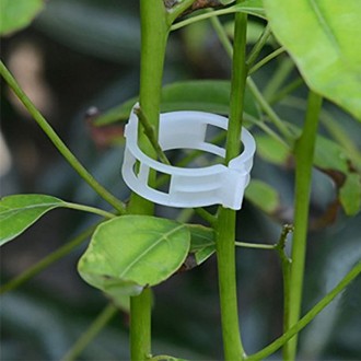 Body Clips
