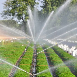 Sprinklers Products