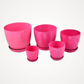 Dekoratif İç Mekan Saksılar