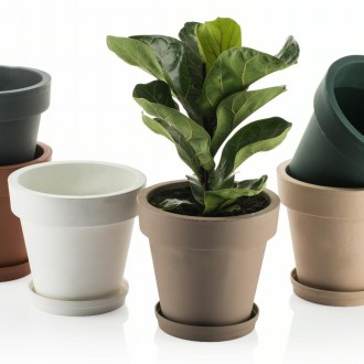 Decorative Indoor Pots