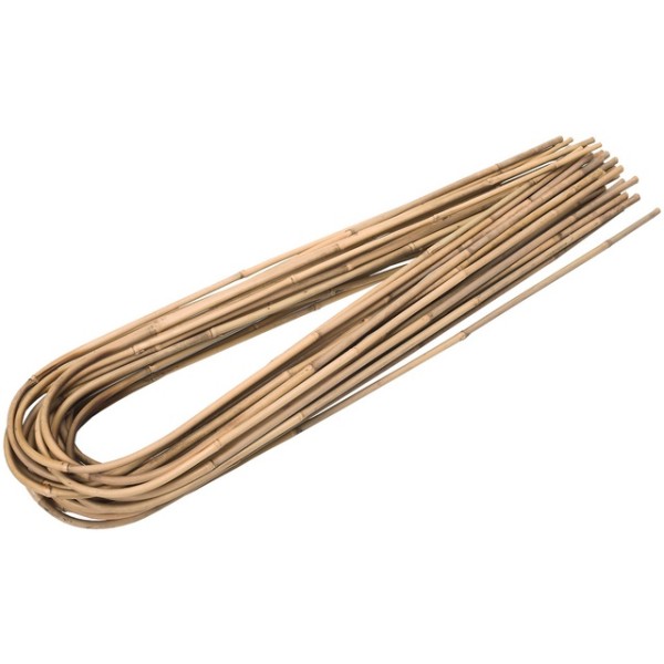 Trellis Bamboo