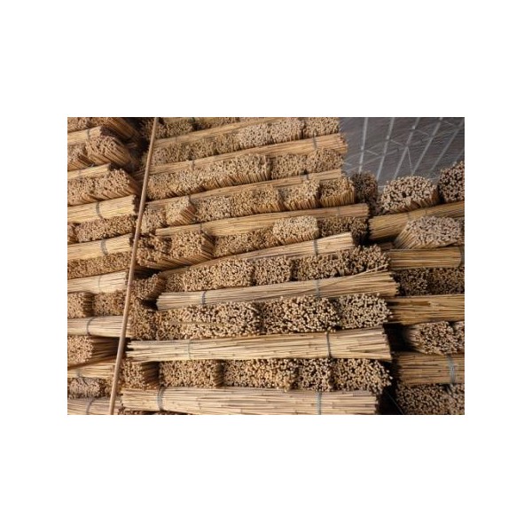 Bamboo Canes