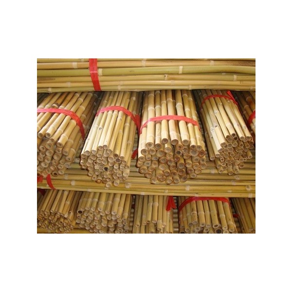 Bamboo Canes
