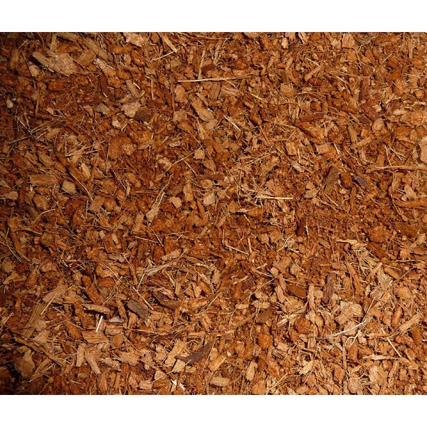 Coconut Husk Chips