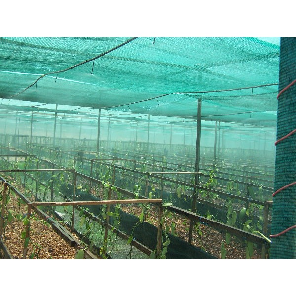 Shade Net