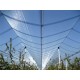 Monofilament Anti Hail Net