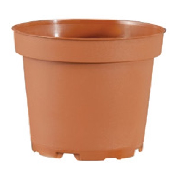 Succulent Pot
