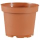 Succulent Pot