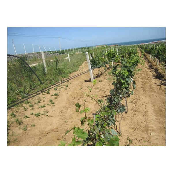 Agriculture Polyester Wire
