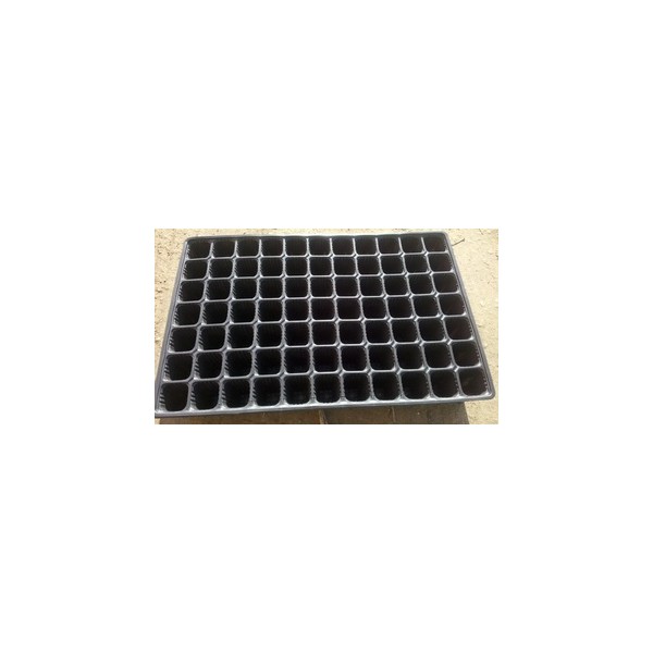 Seedling Trays