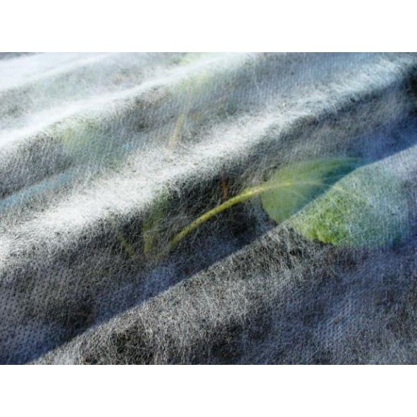 Agryl / Mulch