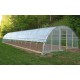 Pe Greenhouse Films