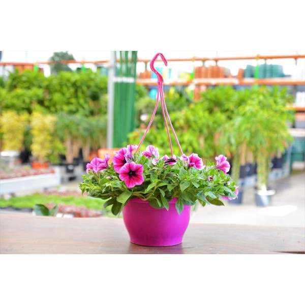 Macrome Pot