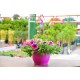 Macrome Pot