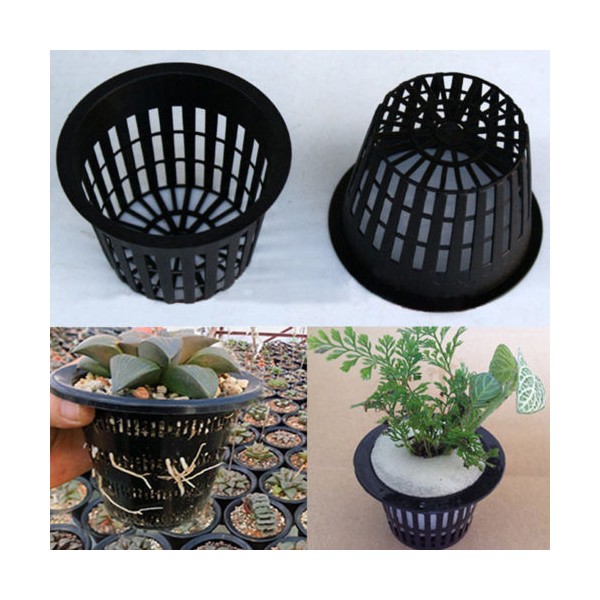 Basket Pots