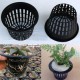 Basket Pots