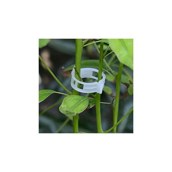 Body Clips