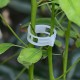 Body Clips