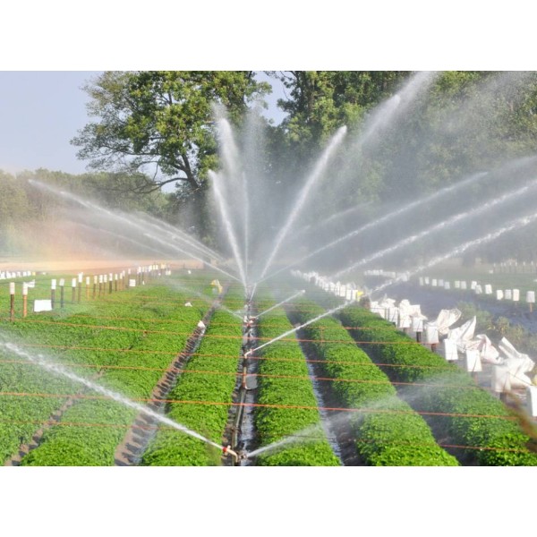 Sprinklers Products