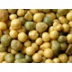 Slow Release Fertilizer