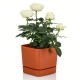 Decorative Indoor Pots