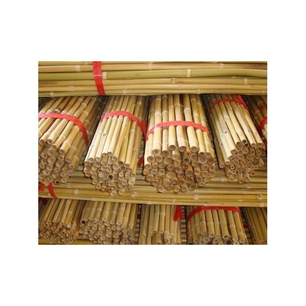 Bambu Destek Çubukları