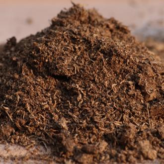 Peat Moss For Pot and Bedding Plants