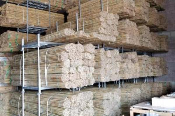 OUR NEW PALLETS FOR BAMBOO STICKS ARE USING NOW